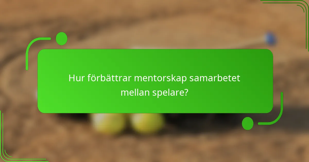 Hur förbättrar mentorskap samarbetet mellan spelare?