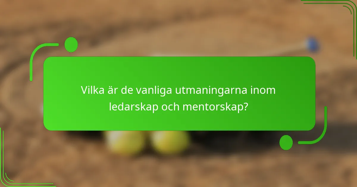 Vilka är de vanliga utmaningarna inom ledarskap och mentorskap?