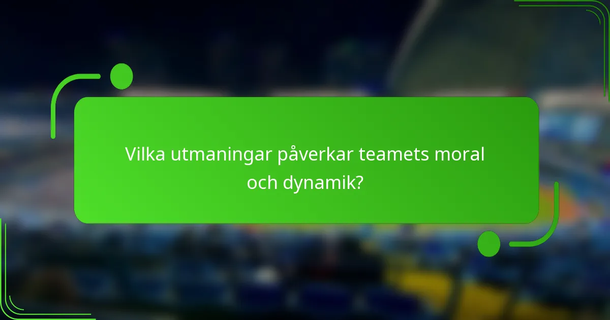 Vilka utmaningar påverkar teamets moral och dynamik?
